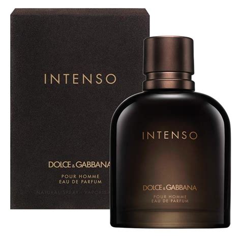 dolce gabbana intenso cologne|dolce gabbana intense for men.